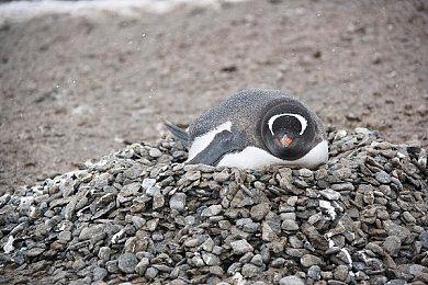 游戏太难！《装甲核心6》简单模式mod发布 